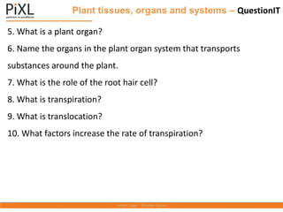 Plant tissues, organs and systems – QuestionIT
5. What is a plant organ?
6. Name the organs in the plant organ system that transports
substances around the plant.
7. What is the role of the root hair cell?
8. What is transpiration?
9. What is translocation?
10. What factors increase the rate of transpiration?
 