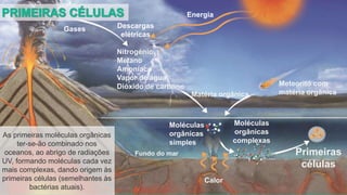 As primeiras moléculas orgânicas
ter-se-ão combinado nos
oceanos, ao abrigo de radiações
UV, formando moléculas cada vez
mais complexas, dando origem às
primeiras células (semelhantes às
bactérias atuais).
Energia
Gases Descargas
elétricas
Nitrogénio
Metano
Amoníaco
Vapor de água
Dióxido de carbono
Matéria orgânica
Meteorito com
matéria orgânica
Moléculas
orgânicas
simples
Fundo do mar
Calor
Moléculas
orgânicas
complexas
Primeiras
células
 