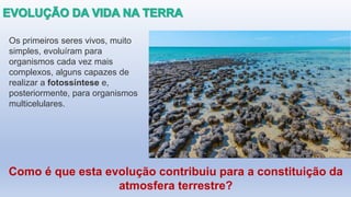 Como é que esta evolução contribuiu para a constituição da
atmosfera terrestre?
Os primeiros seres vivos, muito
simples, evoluíram para
organismos cada vez mais
complexos, alguns capazes de
realizar a fotossíntese e,
posteriormente, para organismos
multicelulares.
 