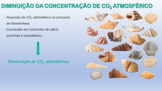 • Absorção de CO2 atmosférico no processo
de fotossíntese;
• Conversão em carbonato de cálcio
(conchas e esqueletos);
Diminuição de CO2 atmosférico
 