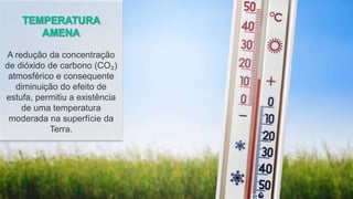 A redução da concentração
de dióxido de carbono (CO₂)
atmosférico e consequente
diminuição do efeito de
estufa, permitiu a existência
de uma temperatura
moderada na superfície da
Terra.
 
