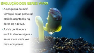 • A conquista do meio
terrestre pelas primeiras
plantas aconteceu há
cerca de 440 Ma.
• A vida continuou a
evoluir, dando origem a
seres vivos cada vez
mais complexos.
 
