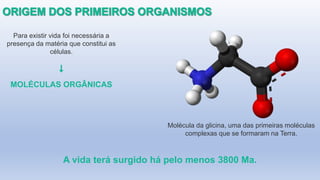Para existir vida foi necessária a
presença da matéria que constitui as
células.
MOLÉCULAS ORGÂNICAS
A vida terá surgido há pelo menos 3800 Ma.
Molécula da glicina, uma das primeiras moléculas
complexas que se formaram na Terra.
 
