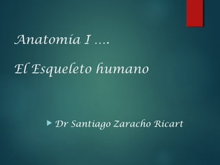 Anatomía I ….
El Esqueleto humano
 Dr Santiago Zaracho Ricart
 