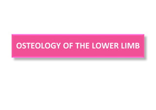 OSTEOLOGY OF THE LOWER LIMB
 