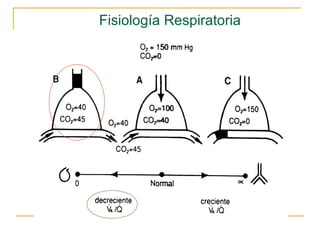 Fisiología Respiratoria
 