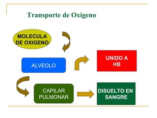 Transporte de Oxigeno

MOLECULA
DE OXIGENO

                             UNIDO A
    ALVEOLO                    HB




        CAPILAR            DISUELTO EN
       PULMONAR               SANGRE
 