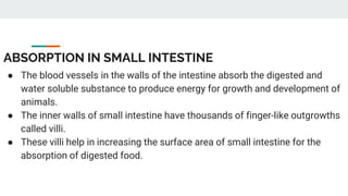Nutrition in animals | PPTX