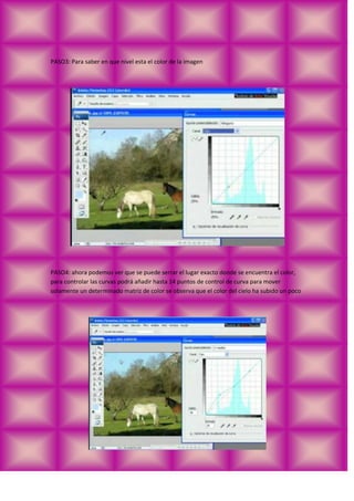 diana estefania huerta