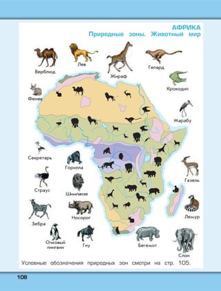 110088
АФРИКА
Природные зоны. Животный мир
Условные обозначения природных зон смотри на стр. 105.
 