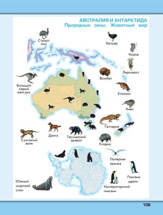 110099
АВСТРАЛИЯ И АНТАРКТИДА
Природные зоны. Животный мир
 