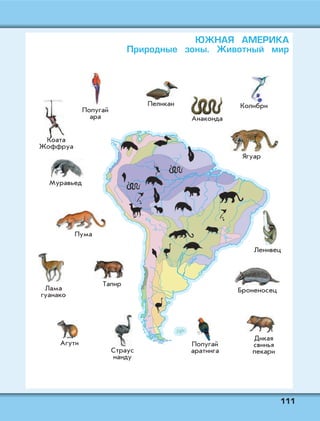111111
ЮЖНАЯ АМЕРИКА
Природные зоны. Животный мир
 