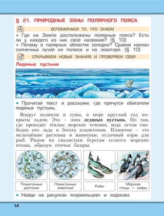 1144
§ 21. ПРИРОДНЫЕ ЗОНЫ ПОЛЯРНОГО ПОЯСА
Где на Земле расположены полярные пояса? Есть
ли у каждого из них своё название? (§ 10)
Почему в полярных областях холодно? Сравни наклон
солнечных лучей на полюсе и на экваторе. (§ 10)
Ледяные пустыни
Прочитай текст и расскажи, где прячутся обитатели
ледяных пустынь.
Вокруг полюсов и суша, и море круглый год по-
крыты льдом. Это – зона ледяных пустынь. Но там,
где проходят тёплые морские течения, вода летом сво-
бодна ото льда и богата планктоном. Планктон – это
мельчайшие растения и животные, отличный корм для
рыб. Рядом по скалистым берегам селятся морские
птицы, образуя птичьи базары.
Найди на рисунках «кормильцев» и «едоков».
Планктонные
растения
Планктонные
животные Рыбы
Морские
птицы — кайры
ВСПОМИНАЕМ ТО, ЧТО ЗНАЕМ
ОТКРЫВАЕМ НОВЫЕ ЗНАНИЯ И ПРОВЕРЯЕМ СЕБЯ
 
