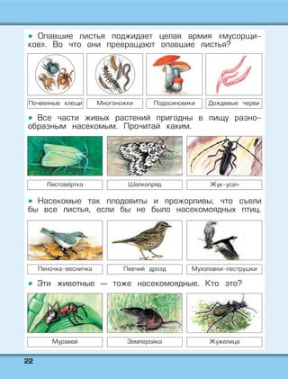 2222
Опавшие листья поджидает целая армия «мусорщи-
ков». Во что они превращают опавшие листья?
Все части живых растений пригодны в пищу разно-
образным насекомым. Прочитай каким.
Насекомые так плодовиты и прожорливы, что съели
бы все листья, если бы не было насекомоядных птиц.
Эти животные — тоже насекомоядные. Кто это?
Почвенные клещи Многоножки Подосиновики Дождевые черви
Листовёртка Шелкопряд Жук-усач
Пеночка-весничка Певчий дрозд Мухоловки-пеструшки
Муравей Землеройка Жужелица
 