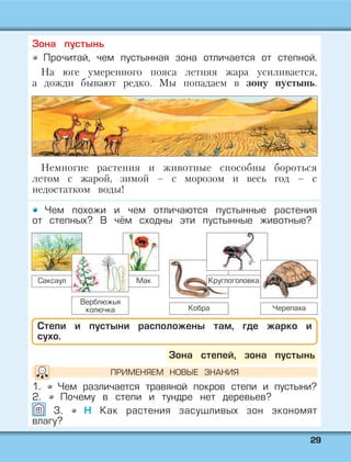 2299
Зона пустынь
Прочитай, чем пустынная зона отличается от степной.
На юге умеренного пояса летняя жара усиливается,
а дожди бывают редко. Мы попадаем в зону пустынь.
Немногие растения и животные способны бороться
летом с жарой, зимой – с морозом и весь год – с
недостатком воды!
Чем похожи и чем отличаются пустынные растения
от степных? В чём сходны эти пустынные животные?
1. Чем различается травяной покров степи и пустыни?
2. Почему в степи и тундре нет деревьев?
3. Н Как растения засушливых зон экономят
влагу?
Зона степей, зона пустынь
Степи и пустыни расположены там, где жарко и
сухо.
Кобра
КруглоголовкаСаксаул Мак
ПРИМЕНЯЕМ НОВЫЕ ЗНАНИЯ
Верблюжья
колючка Черепаха
 