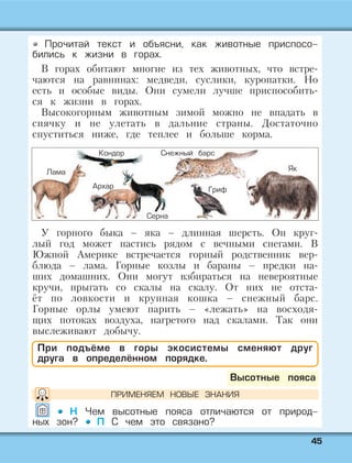 4455
Прочитай текст и объясни, как животные приспосо-
бились к жизни в горах.
В горах обитают многие из тех животных, что встре-
чаются на равнинах: медведи, суслики, куропатки. Но
есть и особые виды. Они сумели лучше приспособить-
ся к жизни в горах.
Высокогорным животным зимой можно не впадать в
спячку и не улетать в дальние страны. Достаточно
спуститься ниже, где теплее и больше корма.
У горного быка – яка – длинная шерсть. Он круг-
лый год может пастись рядом с вечными снегами. В
Южной Америке встречается горный родственник вер-
блюда – лама. Горные козлы и бараны – предки на-
ших домашних. Они могут взбираться на невероятные
кручи, прыгать со скалы на скалу. От них не отста-
ёт по ловкости и крупная кошка – снежный барс.
Горные орлы умеют парить – «лежать» на восходя-
щих потоках воздуха, нагретого над скалами. Так они
выслеживают добычу.
При подъёме в горы экосистемы сменяют друг
друга в определённом порядке.
Н Чем высотные пояса отличаются от природ-
ных зон? П С чем это связано?
Высотные пояса
Кондор Снежный барс
Гриф
Лама
Архар
Серна
Як
ПРИМЕНЯЕМ НОВЫЕ ЗНАНИЯ
 