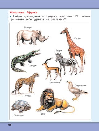 6688
Животные Африки
Найди травоядных и хищных животных. По каким
признакам тебе удаётся их различать?
Носорог
Жираф
Зебра
Антилопа
Крокодил
Гепард
Лев
Стервятник
Черепаха
 