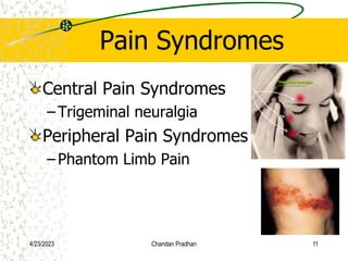 Pain Syndromes
Central Pain Syndromes
– Trigeminal neuralgia
Peripheral Pain Syndromes
– Phantom Limb Pain
4/23/2023 Chandan Pradhan 11
 