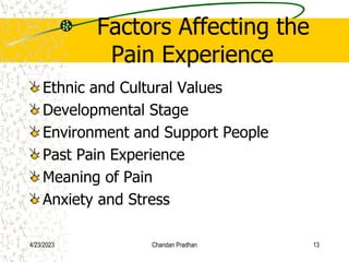 Factors Affecting the
Pain Experience
Ethnic and Cultural Values
Developmental Stage
Environment and Support People
Past Pain Experience
Meaning of Pain
Anxiety and Stress
4/23/2023 Chandan Pradhan 13
 