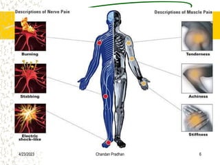 4/23/2023 Chandan Pradhan 6
 