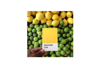 Pantone | PDF
