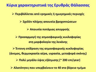 Κφρια χαρακτηριςτικά τησ Ερυθράσ Θάλαςςασ
   Περιβάλλεται από ερημικζσ ή ημιερημικζσ περιοχζσ

        ΢χεδόν πλήρησ απουςία βροχοπτϊςεων

             Απουςία ποτάμιασ απορροήσ

     Προςαρμογή τησ ατμοςφαιρικήσ κυκλοφορίασ
             ςτη μορφολογία τησ λεκάνησ

    Ζντονη επίδραςη τησ ατμοςφαιρικήσ κυκλοφορίασ
 (άνεμοσ, θερμοκραςία αζρα, υγραςία, μεταφορά ςκόνησ)

      Πολφ μεγάλο φψοσ εξάτμιςησ (~ 200 cm/year)

  Αλατότητεσ που υπερβαίνουν το 40 ςτο βόρειο τμήμα
 