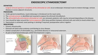 Comprehensive Overview of Paranasal Sinuses: Anatomy, Development, and ...