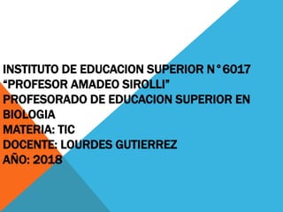 INSTITUTO DE EDUCACION SUPERIOR N°6017
“PROFESOR AMADEO SIROLLI”
PROFESORADO DE EDUCACION SUPERIOR EN
BIOLOGIA
MATERIA: TIC
DOCENTE: LOURDES GUTIERREZ
AÑO: 2018
 