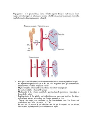 Angiogenesis: Es la generación de brotes o retoños a partir de vasos preformados. Es un
proceso importante para la inflamación crónica y la fibrosis, para el crecimiento tumoral y
para la formación de una circulación colateral.
• Para que se desarrollen neovasos capilares es necesario atravesar por varias etapas:
{ La degradación proteolitica de la BM del vaso progenitor para que se forme otro
retoño capilar y se de la migración celular
{ Migración de las células endoteliales hacia el estimulo angiogenico.
{ Proliferación de las células endoteliales.
{ Maduración de las células endoteliales que inhiben el crecimiento y remodela la
forma de los tubos.
{ Reclutamiento de las células periendoteliales que sirven de sostén a los tubos
endoteliales, además proporciona una función accesoria al vaso.
{ Todos estos pasos son regulados por las interacciones entre los factores de
crecimiento, las células vasculares y la ECM.
{ Factores de crecimiento y sus receptores en las que la mayoría de las pruebas
indican a las angiopoyetinas que desempeñan un papel
 
