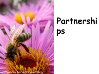 Swinburne
Partnershi
ps
http://www.flickr.com/photos/ndboy/
 