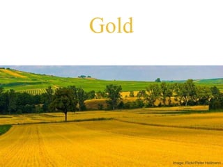 Gold
open access journals
Image: Flickr/Peter Heilmann
 