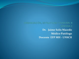 Dr. Jaime Solís Macedo
Médico Patólogo
Docente EFP MH - UNSCH
 
