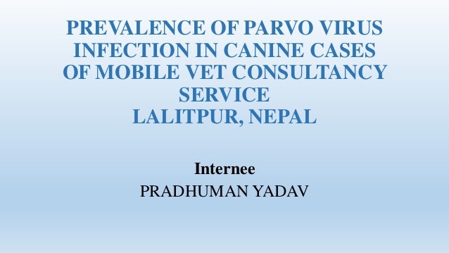 canine parvovirus ppt