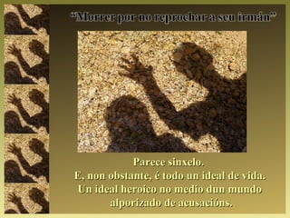 Parece sinxelo.Parece sinxelo.
E, non obstante, é todo un ideal de vida.E, non obstante, é todo un ideal de vida.
Un ideal heroico no medio dun mundoUn ideal heroico no medio dun mundo
alporizado de acusacións.alporizado de acusacións.
 