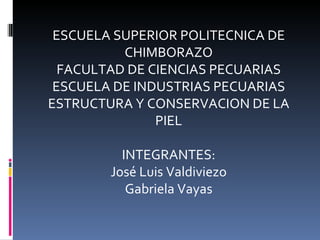ESCUELA SUPERIOR POLITECNICA DE CHIMBORAZO FACULTAD DE CIENCIAS PECUARIAS ESCUELA DE INDUSTRIAS PECUARIAS ESTRUCTURA Y CONSERVACION DE LA PIEL INTEGRANTES: José Luis Valdiviezo Gabriela Vayas 