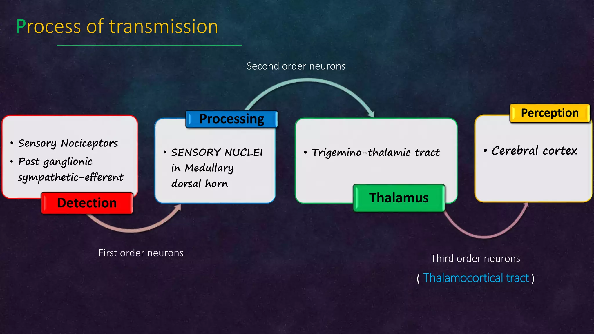 Dental pain (Irreversible pulpitis: Pathophysiology) | PPTX