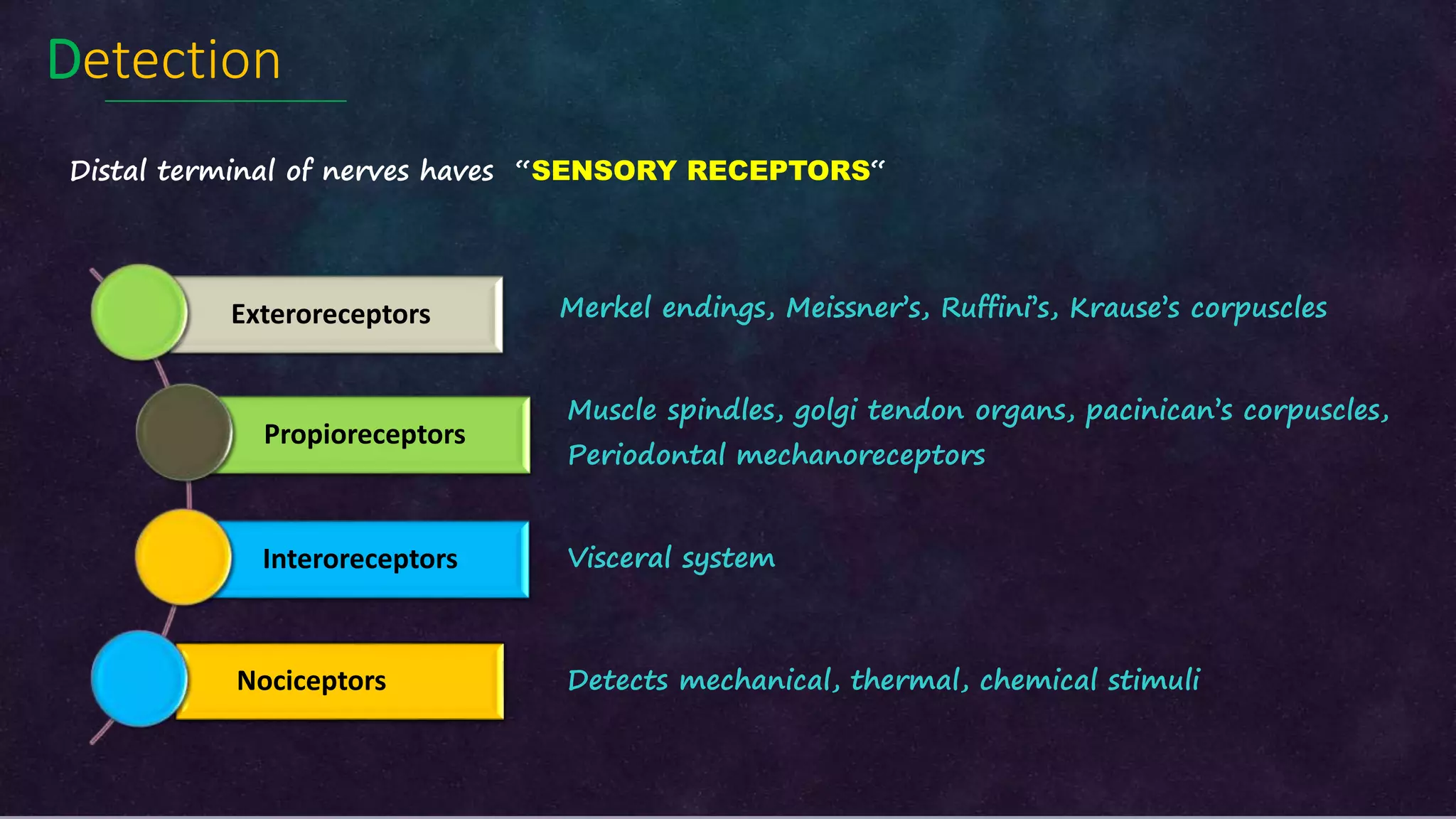 Dental pain (Irreversible pulpitis: Pathophysiology) | PPTX
