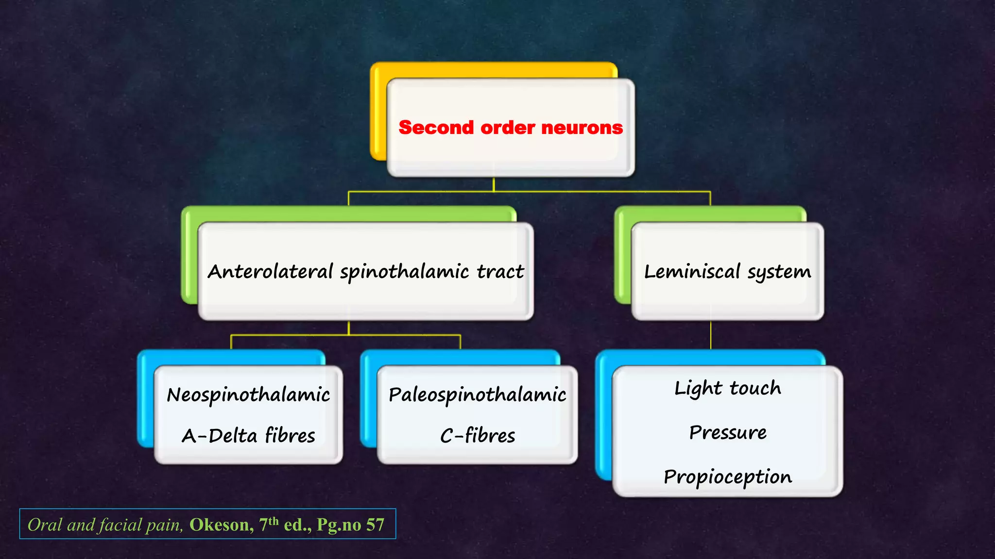 Dental pain (Irreversible pulpitis: Pathophysiology) | PPTX