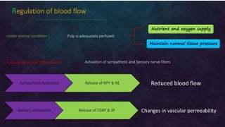 Dental pain (Irreversible pulpitis: Pathophysiology) | PPTX