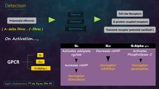 Dental pain (Irreversible pulpitis: Pathophysiology) | PPTX