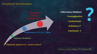 Dental pain (Irreversible pulpitis: Pathophysiology) | PPT
