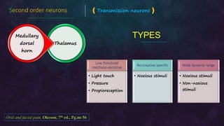 Dental pain (Irreversible pulpitis: Pathophysiology) | PPT