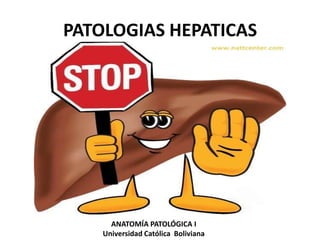 PATOLOGIAS HEPATICAS




      ANATOMÍA PATOLÓGICA I
    Universidad Católica Boliviana
 