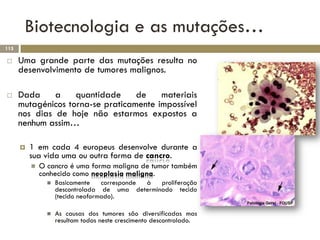 Biotecnologia e as mutações…
115

     Uma grande parte das mutações resulta no
      desenvolvimento de tumores malignos...