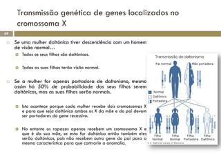 Transmissão genética de genes localizados no
      cromossoma X
69

    Se uma mulher daltónica tiver descendência com um...