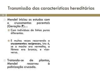 Transmissão das características hereditárias
14

    Mendel iniciou os estudos com
     o   cruzamentos      parentais
     (Geração P)…
        Com indivíduos de linhas puras
         diferentes.

        E muitas vezes recorrendo a
         cruzamentos recíprocos, isto é,
         se o macho era vermelho, a
         fêmea era branca, e vice-
         versa.

    Tratando-se     de     plantas,
     Mendel        recorreu       à
     polinização cruzada.
 