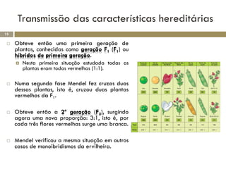 Transmissão das características hereditárias
15

    Obteve então uma primeira geração de
     plantas, conhecidas como geração F1 (F1) ou
     híbridos de primeira geração.
        Nesta primeira situação estudada todas as
         plantas eram todas vermelhas (1:1).

    Numa segunda fase Mendel fez cruzas duas
     dessas plantas, isto é, cruzou duas plantas
     vermelhas da F1.

    Obteve então a 2º geração (F2), surgindo
     agora uma nova proporção: 3:1, isto é, por
     cada três flores vermelhas surge uma branca.

    Mendel verificou a mesma situação em outros
     casos de monoibridismos da ervilheira.
 