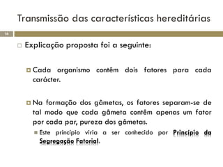 Transmissão das características hereditárias
16


        Explicação proposta foi a seguinte:

          Cada   organismo contêm dois fatores para cada
           carácter.

          Na  formação dos gâmetas, os fatores separam-se de
           tal modo que cada gâmeta contêm apenas um fator
           por cada par, pureza dos gâmetas.
            Este princípio viria a ser conhecido por Princípio da
             Segregação Fatorial.
 