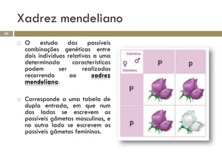 Xadrez mendeliano
24

        O estudo das possíveis
         combinações genéticas entre
         dois indivíduos relativas a uma
         determinada       características
         podem        ser      realizados
         recorrendo       ao      xadrez
         mendeliano.

        Corresponde a uma tabela de
         dupla entrada, em que num
         dos lados se escrevem os
         possíveis gâmetas masculinos, e
         no outro lado se escrevem os
         possíveis gâmetas femininos.
 