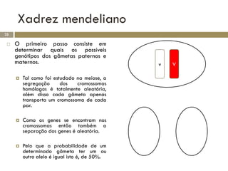 Xadrez mendeliano
25

    O primeiro passo consiste em
     determinar quais os possíveis
     genótipos dos gâmetas paternos e
     maternos.                                 v   V

        Tal como foi estudado na meiose, a
         segregação      dos   cromossomas
         homólogos é totalmente aleatória,
         além disso cada gâmeta apenas
         transporta um cromossoma de cada
         par.

        Como os genes se encontram nos
         cromossomas então também a
         separação dos genes é aleatória.

        Pelo que a probabilidade de um
         determinado gâmeta ter um ou
         outro alelo é igual isto é, de 50%.
 
